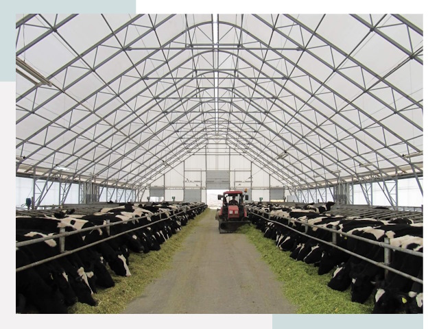 Тентовые коровники в Борзе от 618 руб. - Надежно и доступно