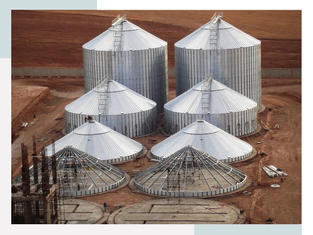 Строительство зерновых силосов в Борзе